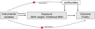 Mendelian randomization shows causal effects of birth weight and childhood body mass index on the risk of frailty